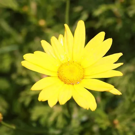 Lejlighedshotel Parla Çeşme